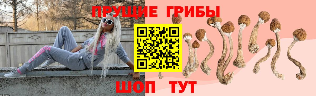 Галлюциногенные грибы ЛСД  Псилоцибиновые грибы Psilocybine cubensis  Новоалександровск  Вход с VPN 